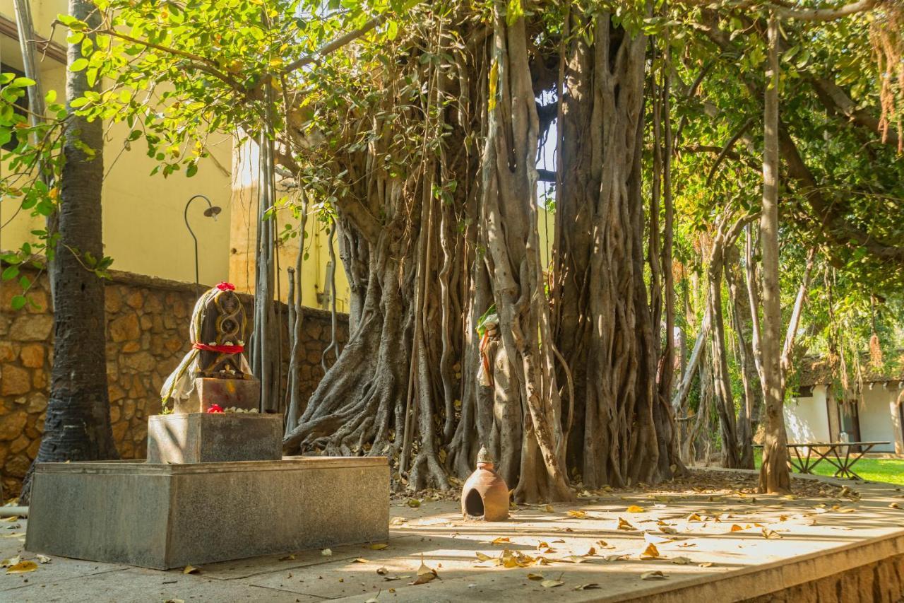 Heritage Madurai Exterior foto The Banyan Tree at the University of Madras